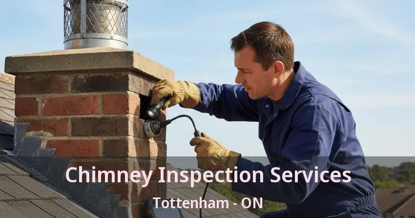 Chimney Inspection Services Tottenham - ON