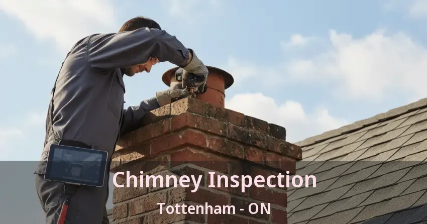 Chimney Inspection Tottenham - ON