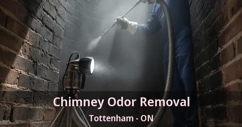 Chimney Odor Removal Tottenham - ON Chimney Odor Removal Tottenham - ON