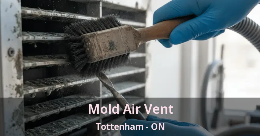 Mold Air Vent Tottenham - ON